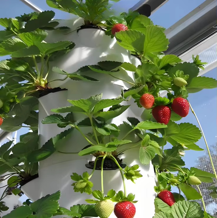 Modular hydroponic growth wall - Urban Farming Hydroponic System recension och pris
