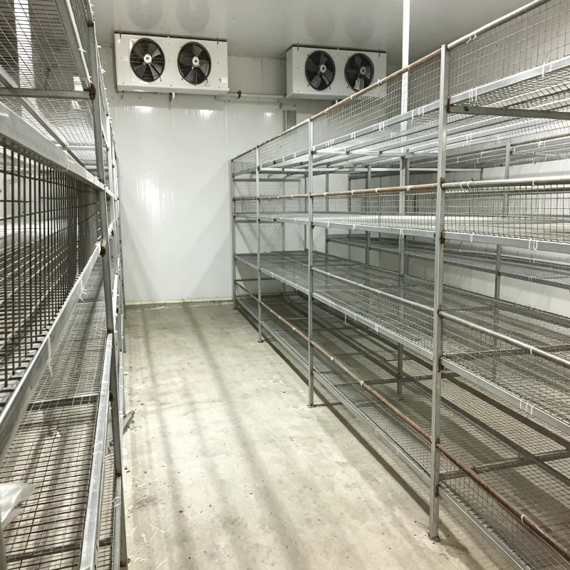 Hydroponic Container Farm with - Urban Farming Hydroponic System recension och pris